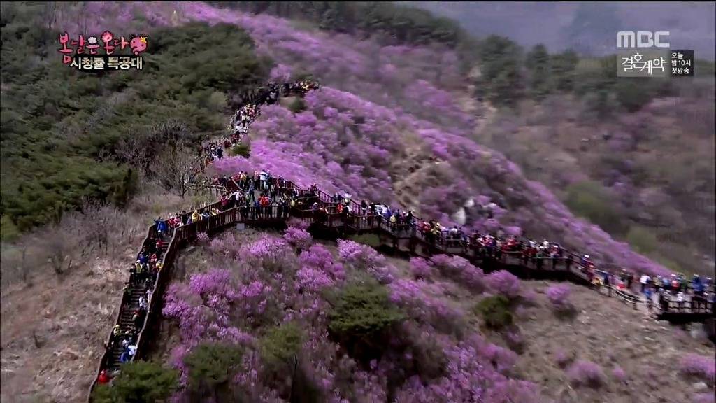 여기 어디인가요? | 인스티즈