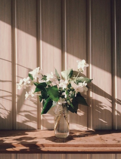 어느 날 나는 나의 영혼을 견딜 수 없었다. 그 아이가 너무 좋았다 | 인스티즈