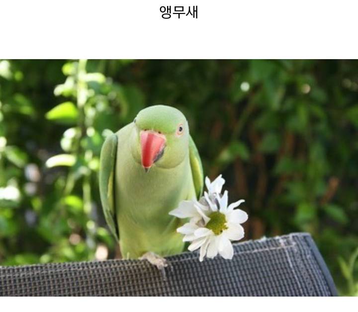 패닝맘이 누군지 찾아보았다 | 인스티즈