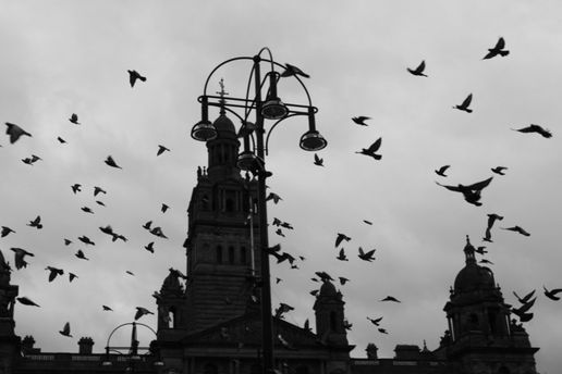 만취한 나도 집은 제대로 찾는 것처럼.jpg | 인스티즈