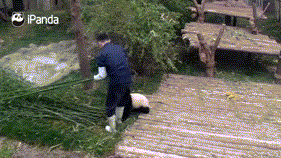 아저씨가 좋아 .gif | 인스티즈