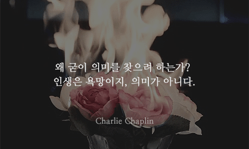  의욕이 없을 때 볼 만한 천재들의 13가지 명언 | 인스티즈