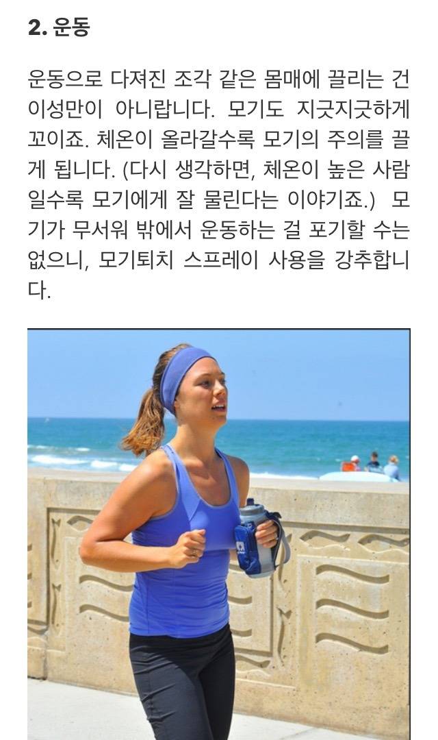 모기에 많이 물리는 케이스 | 인스티즈