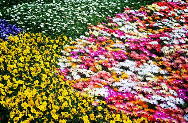 교대생들의 학교생활 | 인스티즈