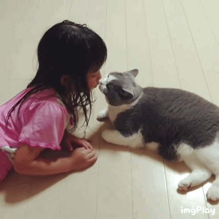 아기랑 놀아주는 고양이.gif | 인스티즈