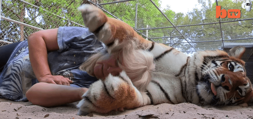 미국 플로리다의 흔한 애완냥이 체험 | 인스티즈