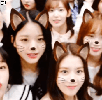 아이즈원 v앱 막내 장원영 .GIF | 인스티즈