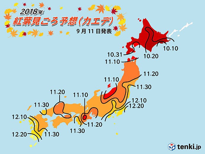 2018 일본 전국 단풍구경시기 예측 | 인스티즈