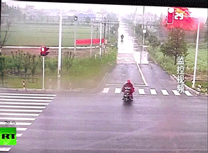 대륙의 기인 모음...gif | 인스티즈