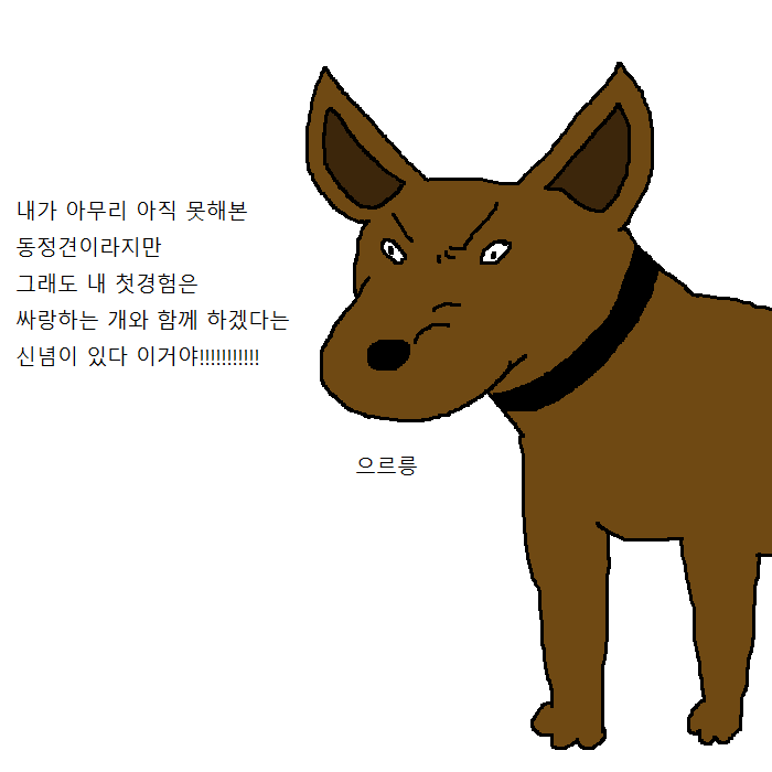 개꿈 레전드 | 인스티즈