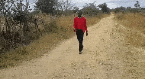 감비아 금수저 gif | 인스티즈