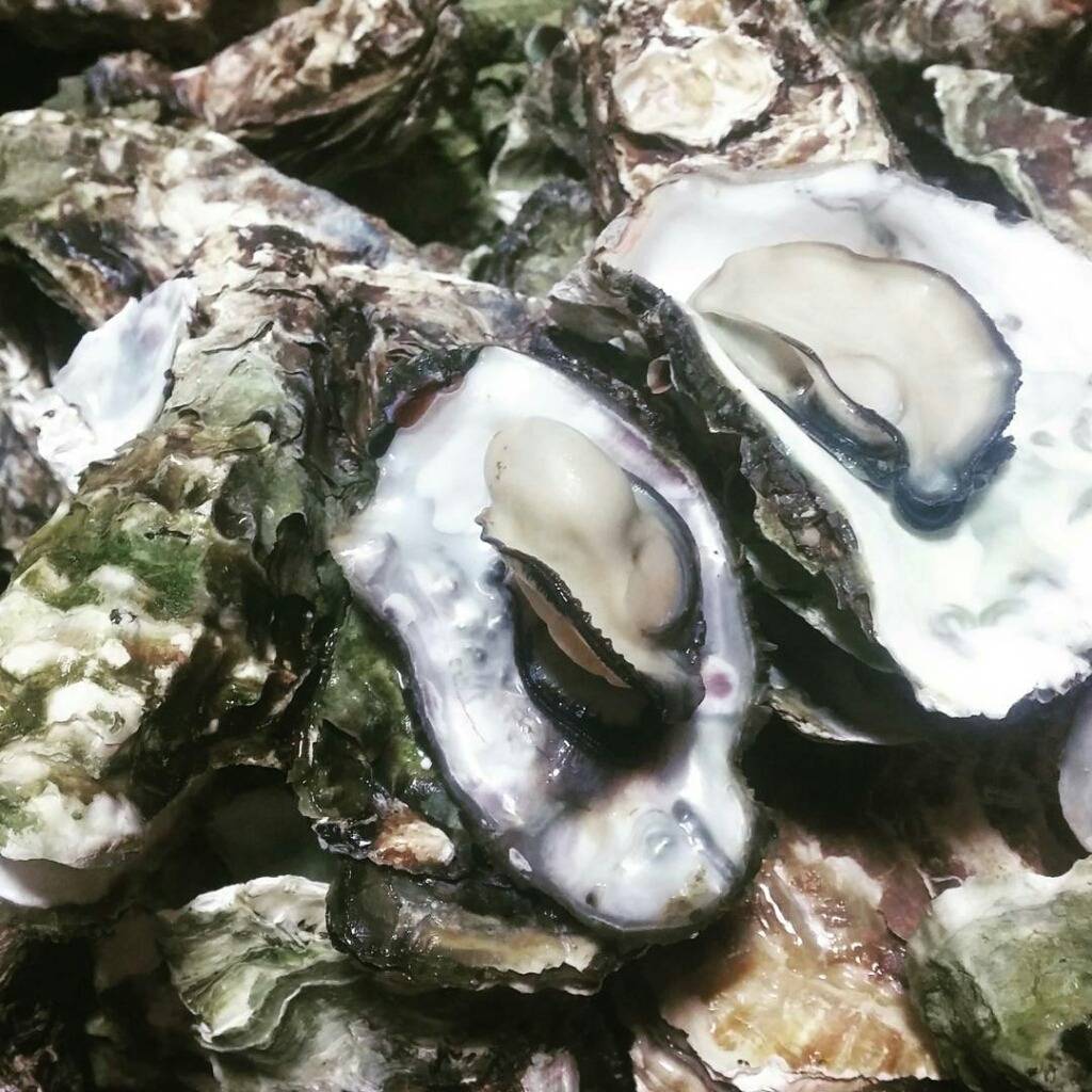 호불호 최강음식 | 인스티즈