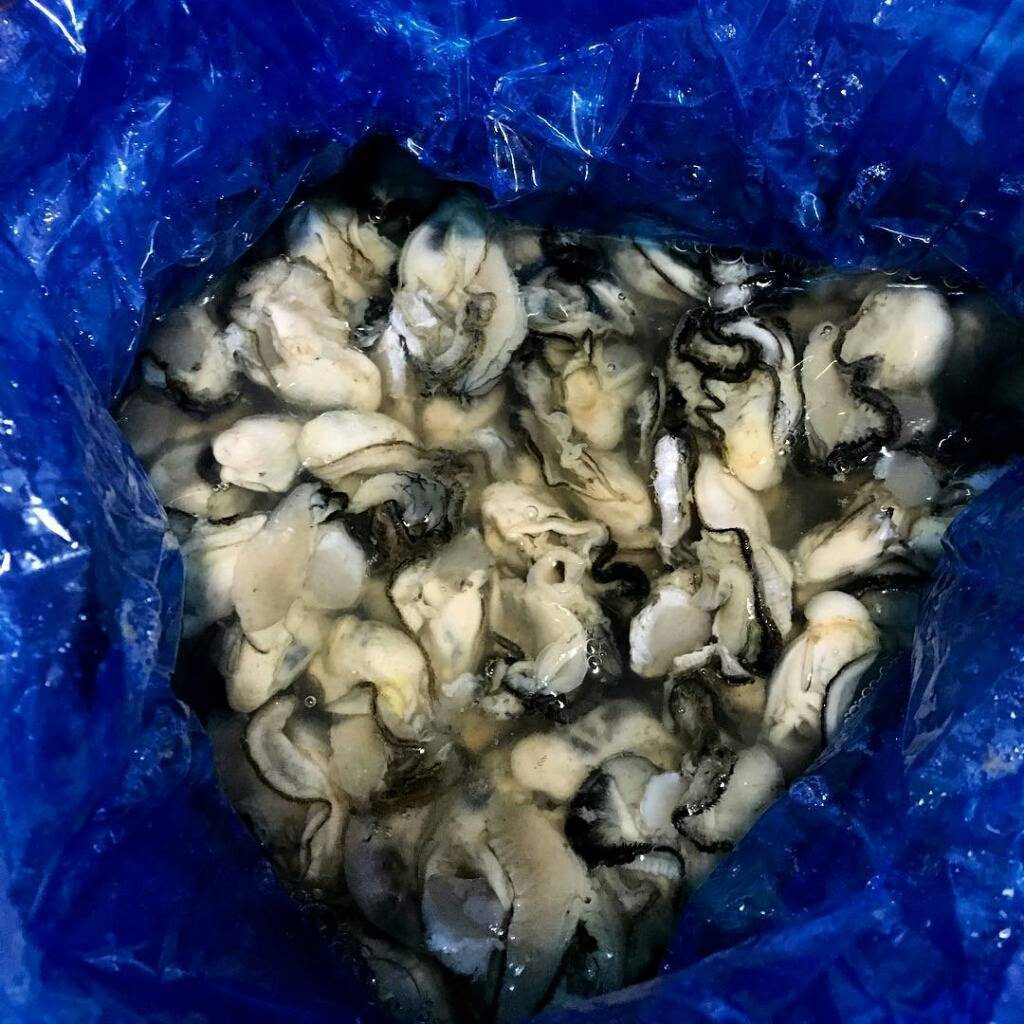 호불호 최강음식 | 인스티즈