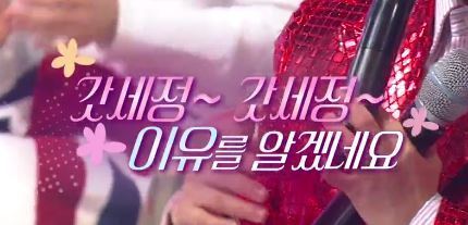 예능에 김세정이 나올때 쓰는 자막들.jpg | 인스티즈