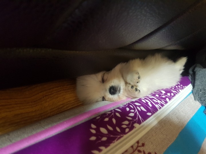 얘는 왜이러고자는거야... | 인스티즈