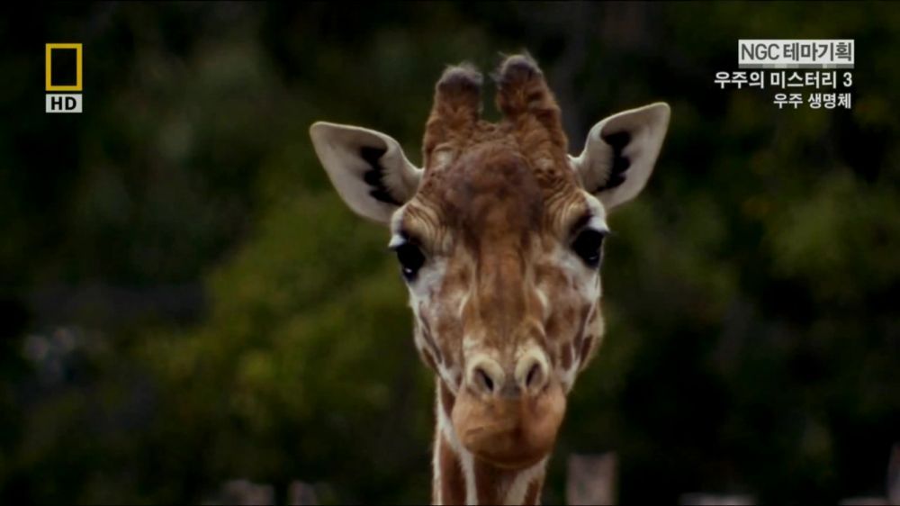 과학자들의 외계 생명체를 찾기위한 노력들.jpg | 인스티즈