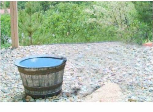 ??? : 잡았다 이 물도두.................ㄱ..... | 인스티즈