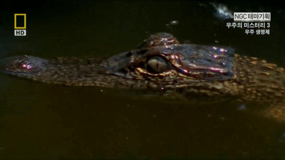 과학자들의 외계 생명체를 찾기위한 노력들.jpg | 인스티즈