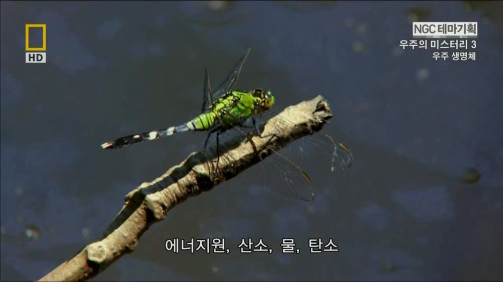 과학자들의 외계 생명체를 찾기위한 노력들.jpg | 인스티즈