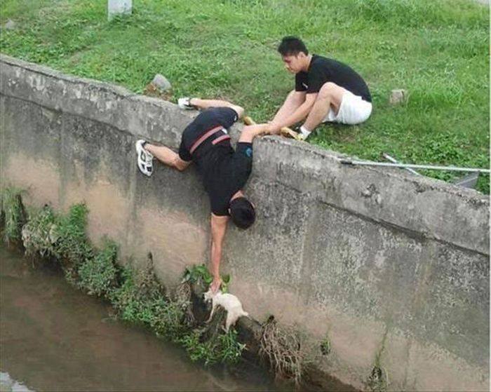 동물을 돕는 인간 | 인스티즈