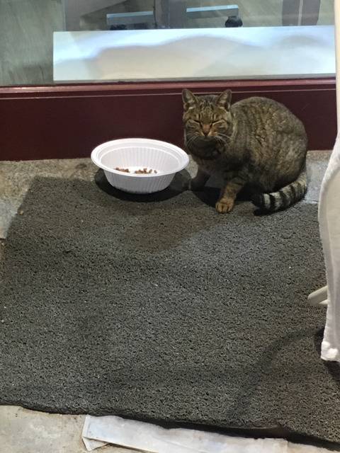 엄마들이 좋아하시는거 | 인스티즈