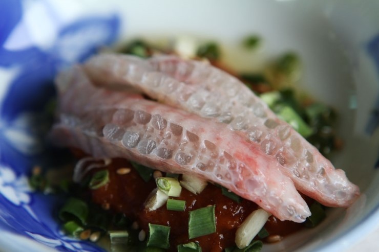 회매니아들은 안다는 어느지역 특유의 회 식감 | 인스티즈