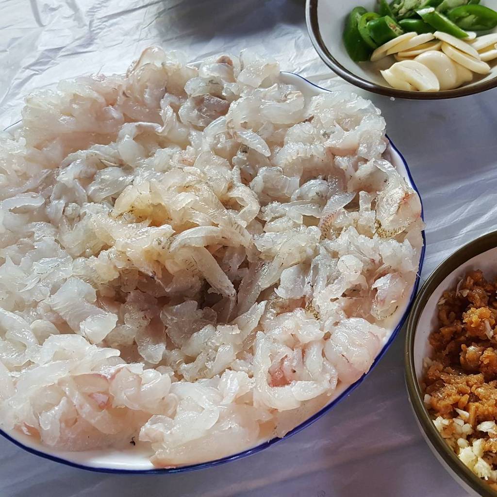 회매니아들은 안다는 어느지역 특유의 회 식감 | 인스티즈