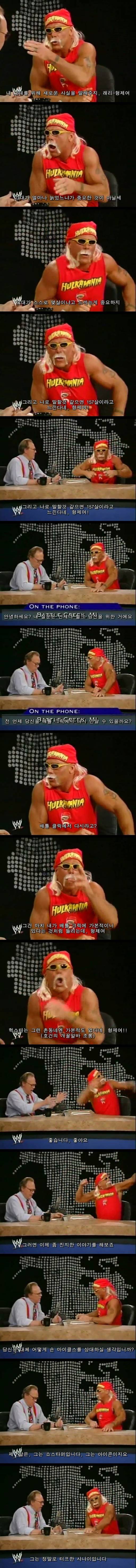 헐크 호건 코스프레하고 조롱하는 숀 마이클스 말빨 수준 | 인스티즈