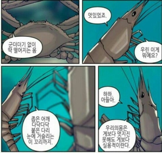 새우 꼬리의 용도 | 인스티즈