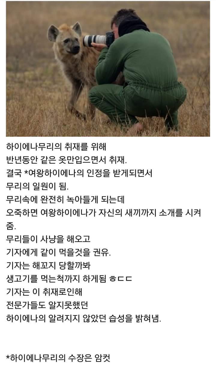 내셔널지오그래픽 기자의 위엄 | 인스티즈