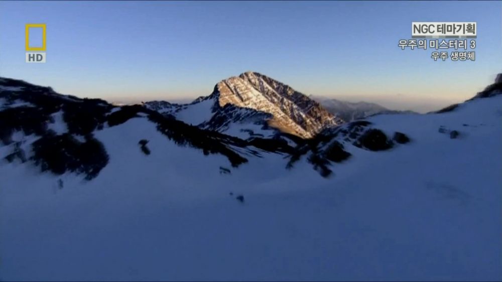 과학자들의 외계 생명체를 찾기위한 노력들.jpg | 인스티즈