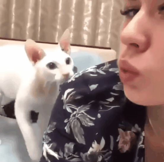 지구상에 가장 이해가 안되는 동물 | 인스티즈