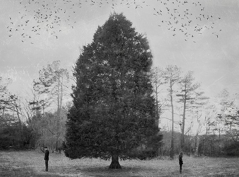 너를 사랑하는 일이 나를 무너지게 할거라는 걸 | 인스티즈