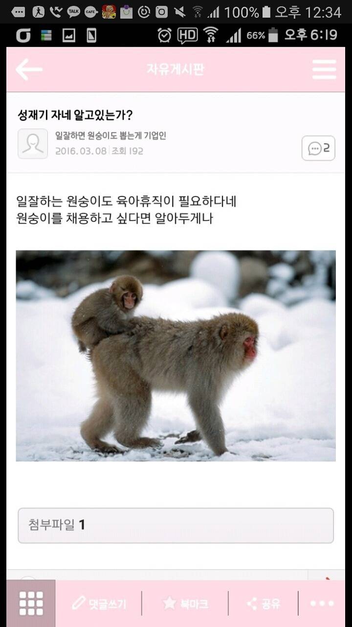 성재기 "일 잘하면 원숭이도 뽑는게 기업인" | 인스티즈