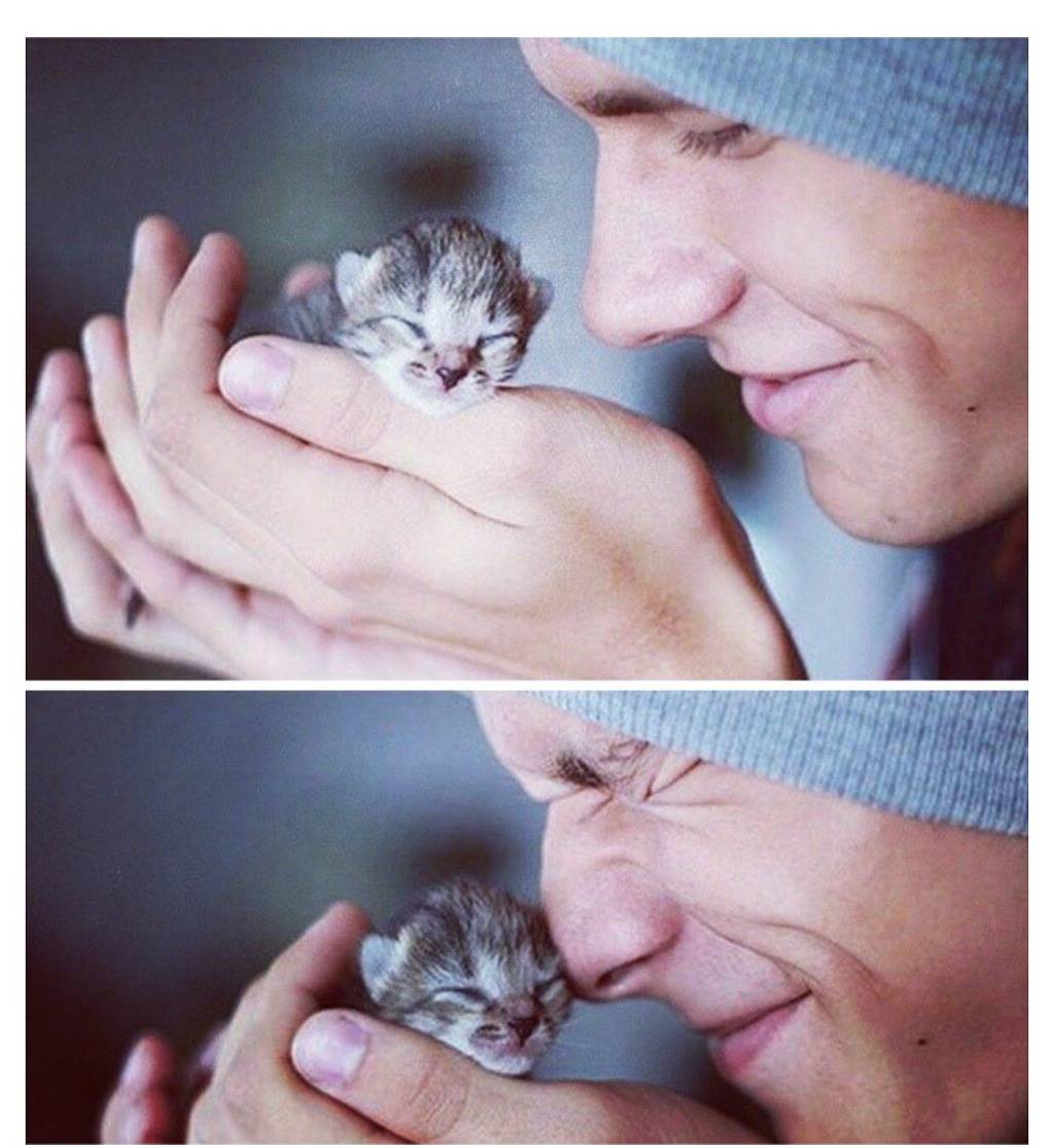 난 고양이 좋아하는데? | 인스티즈