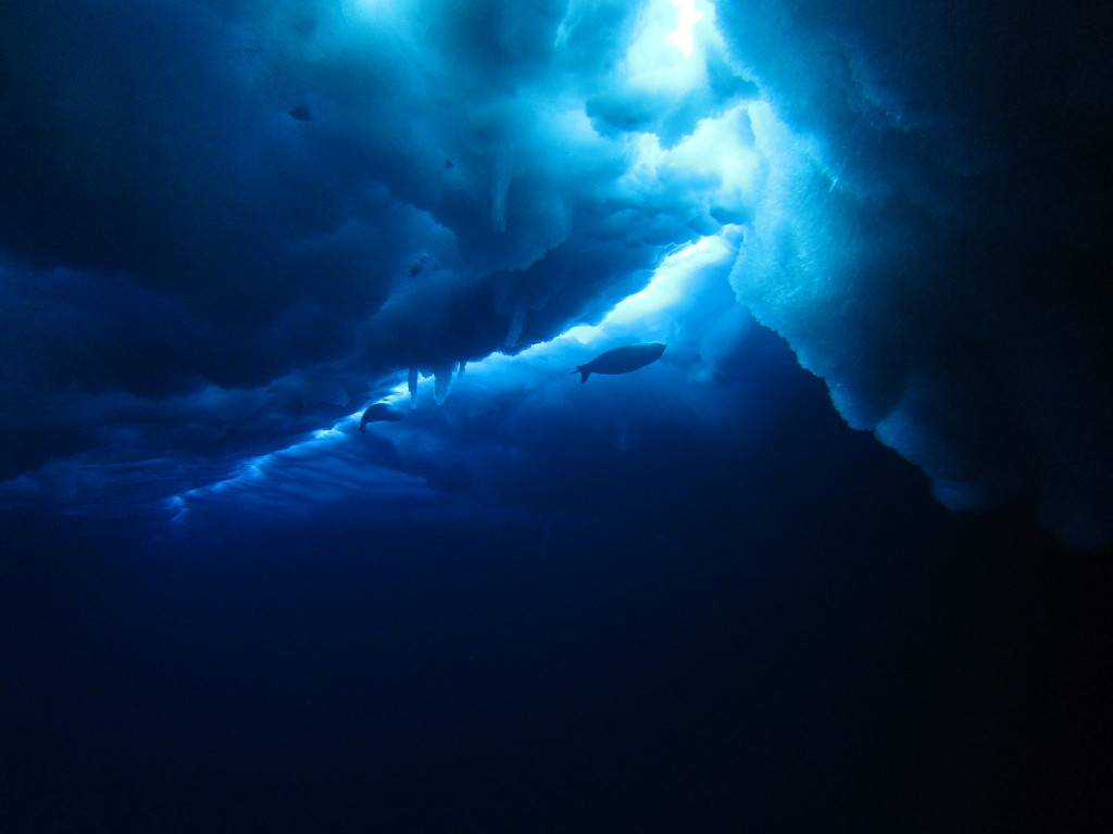 은근히 많은 사람들이 갖고 있는 공포증 | 인스티즈