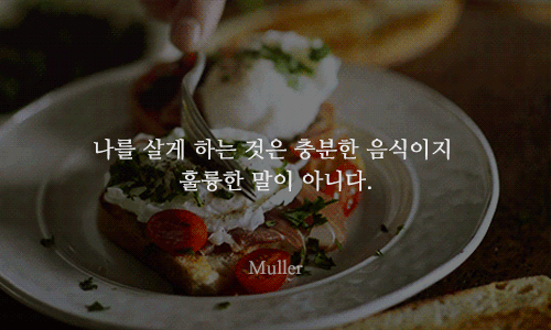 음식에 관한 명언들 | 인스티즈