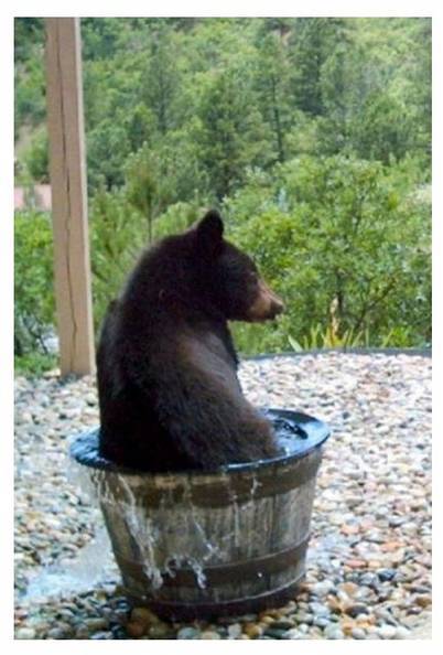 ??? : 잡았다 이 물도두.................ㄱ..... | 인스티즈