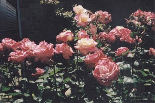  사랑을 시작하기 전에 걱정부터 드는 당신에게 | 인스티즈