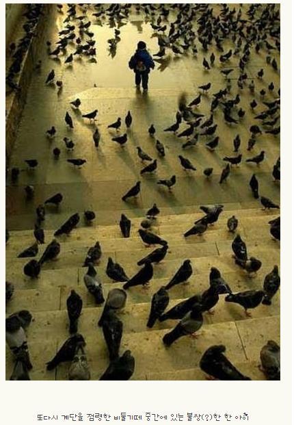 불호 100％에 도전하는 조류.jpg | 인스티즈