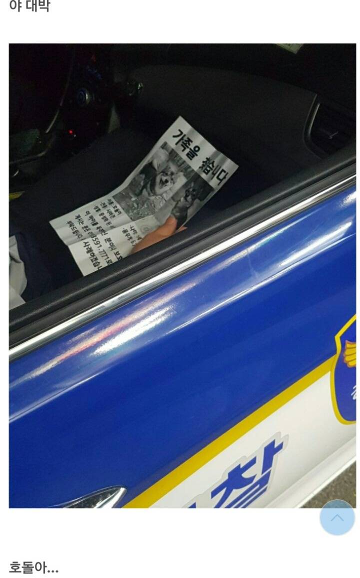 편의점에 찾아온 댕댕이 | 인스티즈