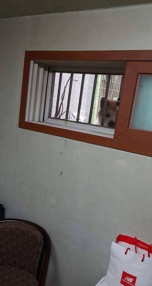 반지하사는데 어떤가 자꾸 쳐다보네요; | 인스티즈