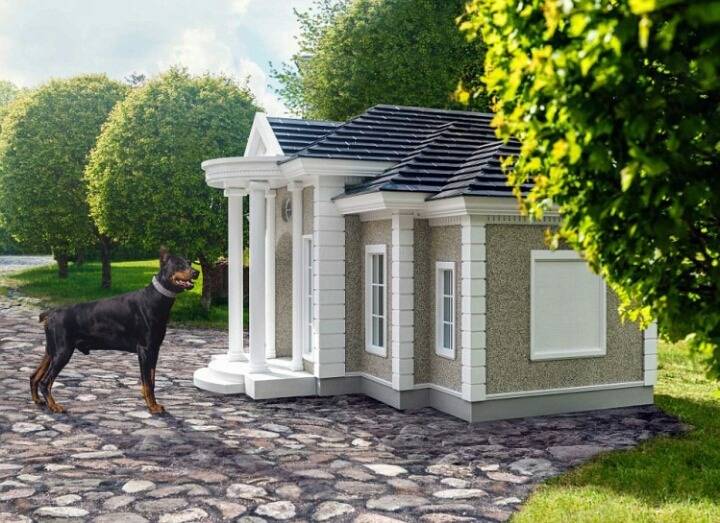 외국의 흔한 개집... | 인스티즈