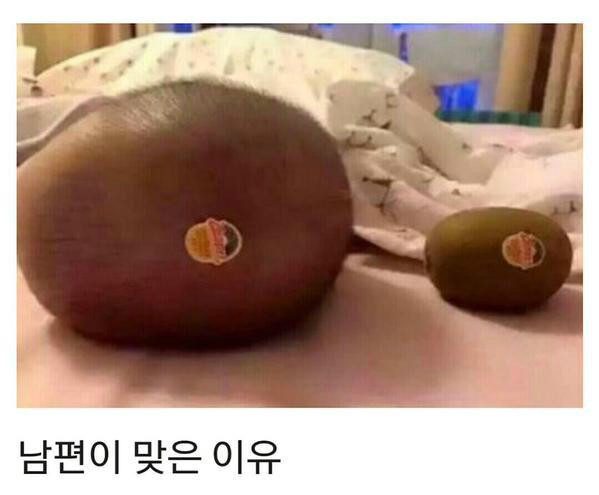 남편이 애기봐주다가 맞은이유 | 인스티즈