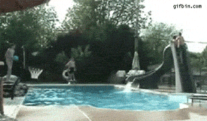 천조국 사람들한테 공을 주면 생기는일 | 인스티즈