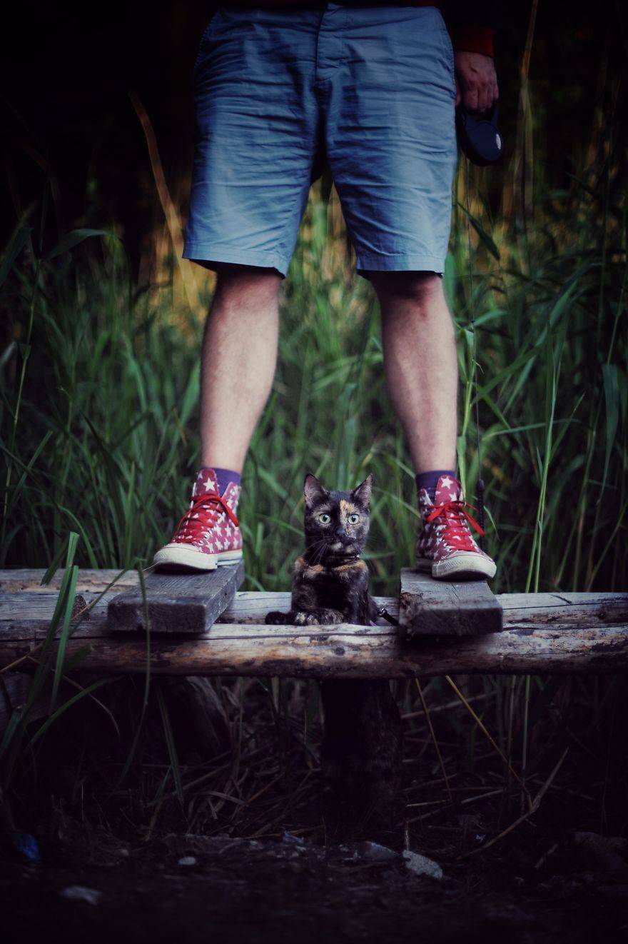 고양이의 사계절...jpg | 인스티즈