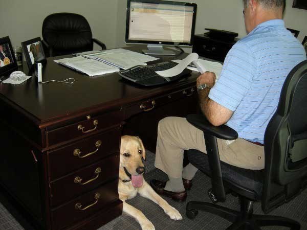 직장에 개 데리고 가는 날.jpg | 인스티즈