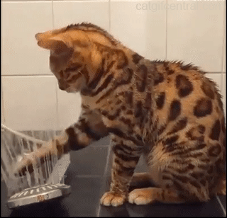 추석 아침엔 역시 | 인스티즈