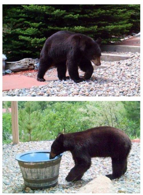 ??? : 잡았다 이 물도두.................ㄱ..... | 인스티즈