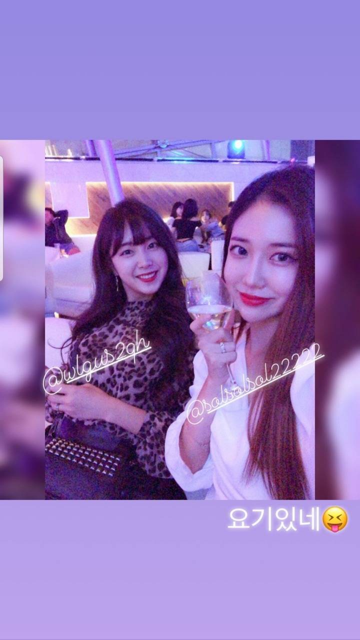 안지현 등 치어리더 | 인스티즈